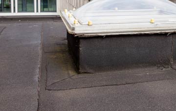 disadvantages of Littleton Panell flat roofs